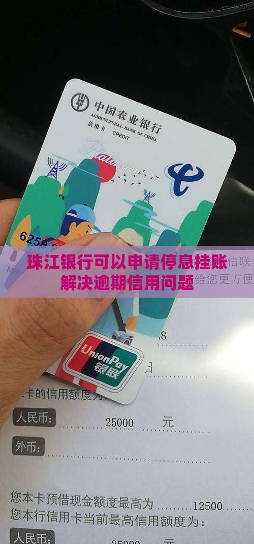 珠江银行可以停息挂账吗
