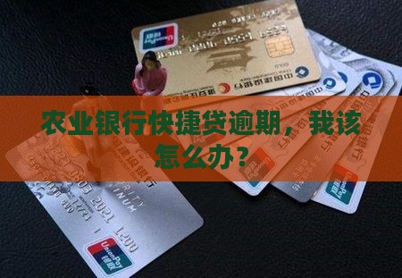 农业银行快捷贷逾期