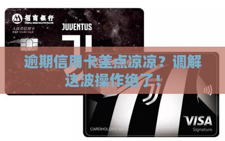 信用卡逾期诉前调解成功案例