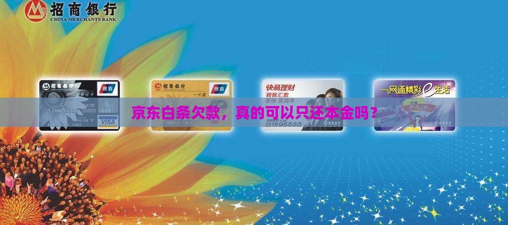 京东白条协商只还本金