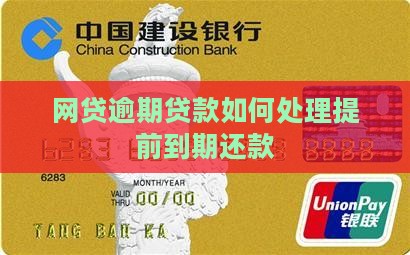 网贷逾期贷款如何处理提前到期