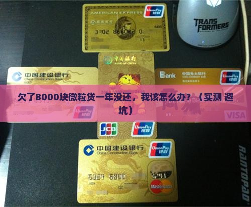 微粒贷欠款8000元逾期1年
