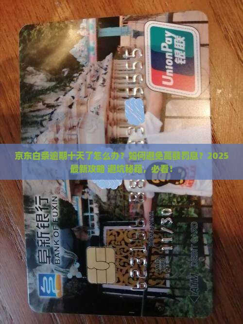 京东白条逾期十天了怎么办