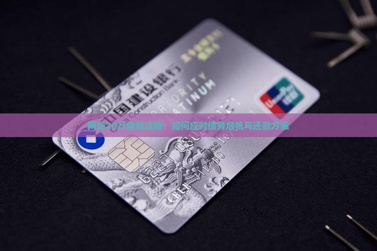 网贷20万自救攻略