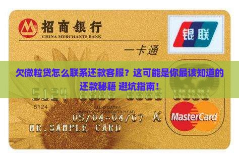 欠微粒贷怎么联系还款客服
