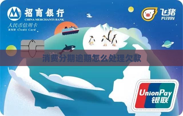 消费分期逾期欠款处理方法
