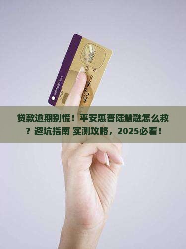 平安惠普陆慧融贷款逾期后怎么处理