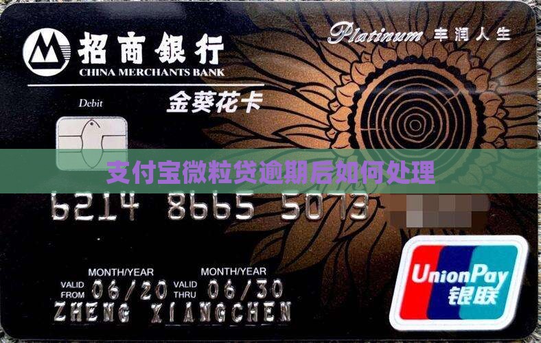 支付宝微粒贷逾期后如何处理