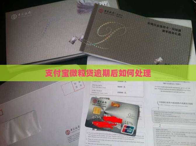 支付宝微粒贷逾期后如何处理