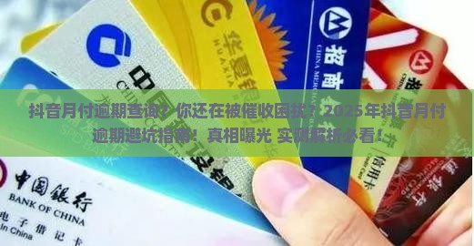 抖音月付逾期查询