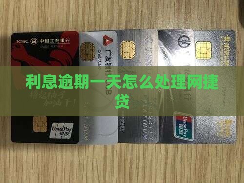 网捷贷利息逾期一天如何处理