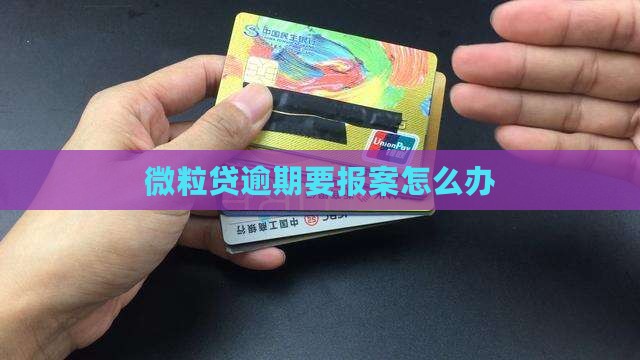 微粒贷逾期要报案怎么办