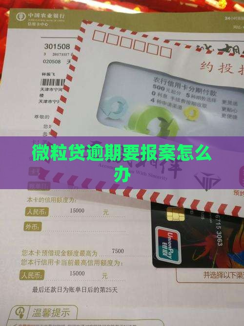 微粒贷逾期要报案怎么办