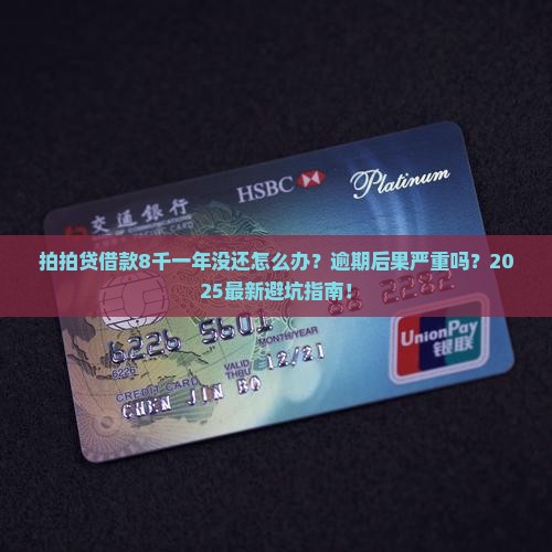 拍拍贷借款8千一年没还怎么办