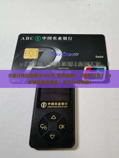 欠银行贷款信用卡100万
