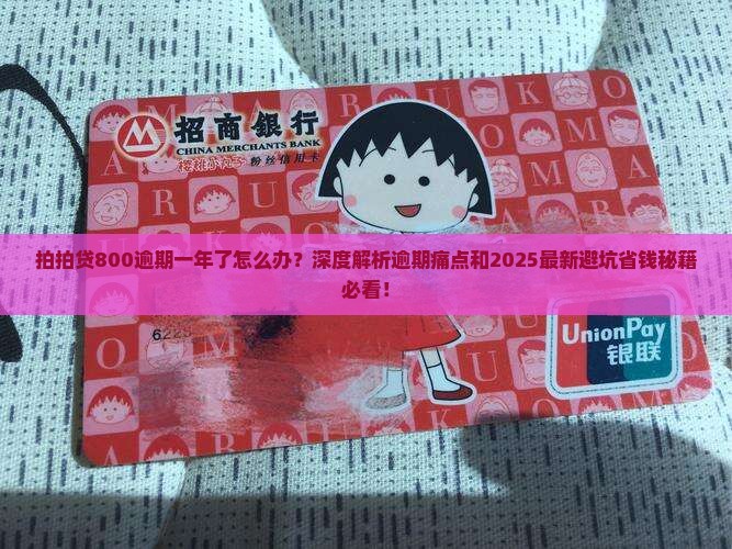 拍拍贷800逾期一年了怎么办