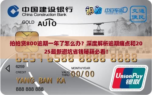 拍拍贷800逾期一年了怎么办