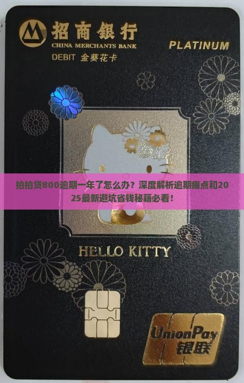 拍拍贷800逾期一年了怎么办