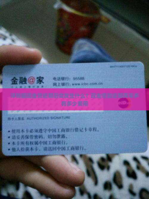 洋钱罐现金贷逾期后会发生什么