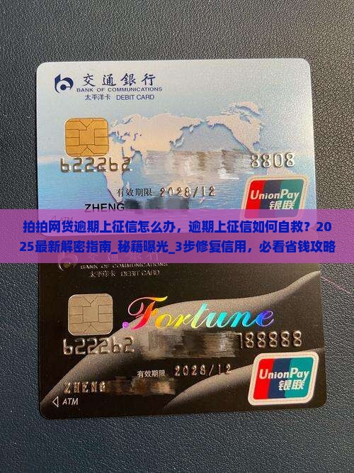 拍拍网贷逾期上征信怎么办