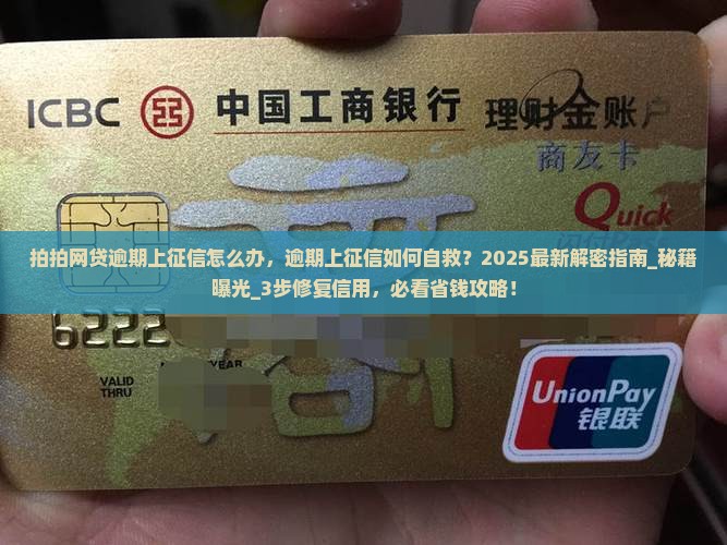拍拍网贷逾期上征信怎么办