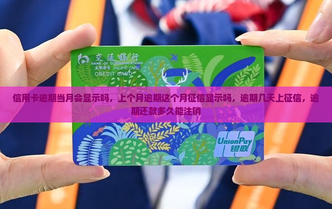 信用卡逾期当月会显示吗