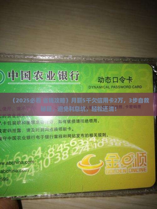 欠信用卡2万如何还清欠款有效方法