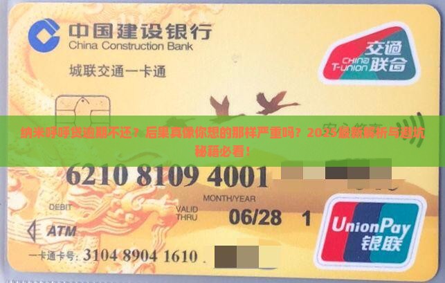 纳米呼呼贷逾期不还后果严重吗