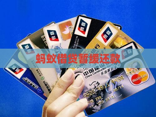 蚂蚁借贷暂缓还款