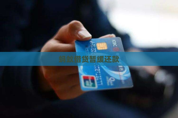 蚂蚁借贷暂缓还款