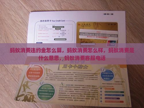 蚂蚁消费违约金怎么算