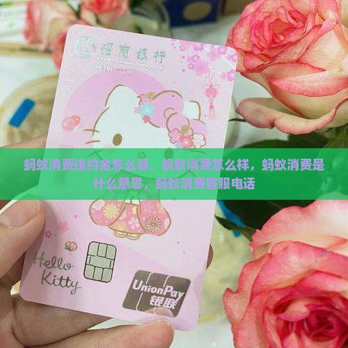蚂蚁消费违约金怎么算