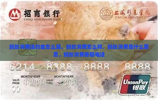 蚂蚁消费违约金怎么算