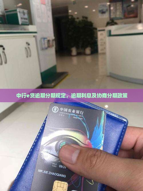 中行e贷逾期分期规定