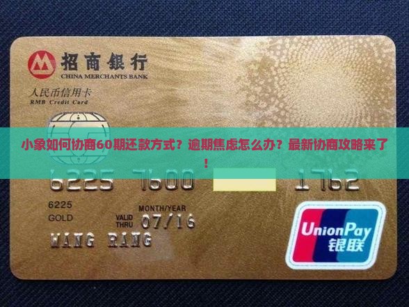 小象如何协商60期还款方式
