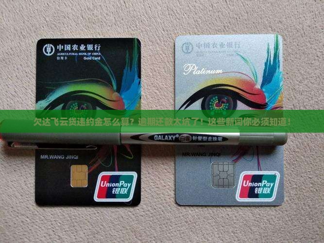 欠达飞云贷违约金如何计算