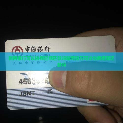 新网银行可以协商延期还款吗