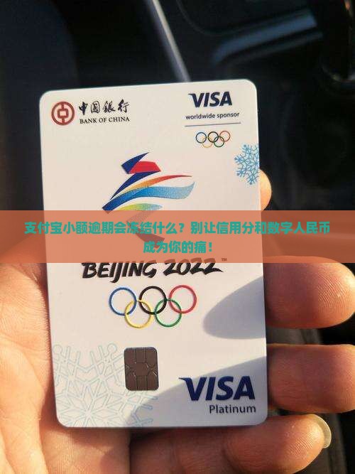 支付宝小额逾期会冻结什么