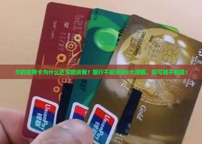 欠的信用卡为什么还没起诉我