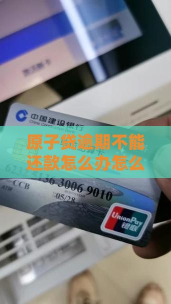 原子贷逾期不能还款