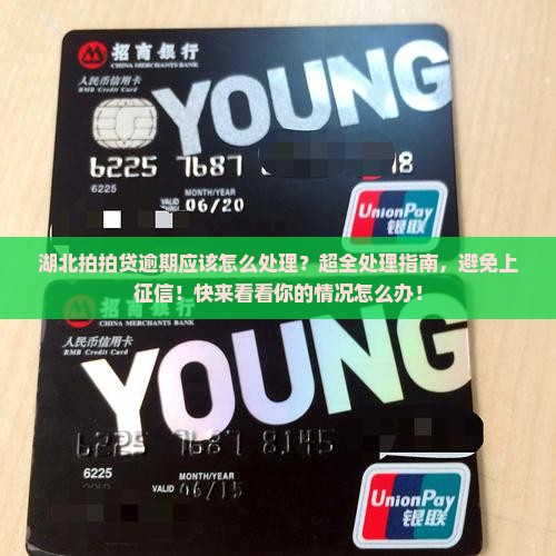 湖北拍拍贷逾期应该怎么处理