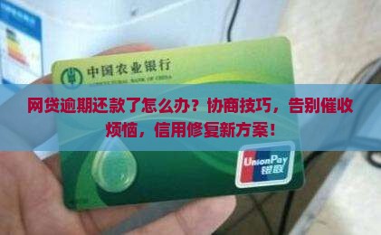 网贷逾期还款应该如何与借款平台协商