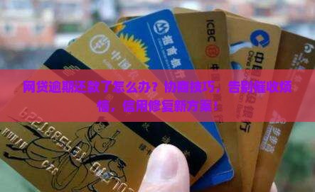 网贷逾期还款应该如何与借款平台协商