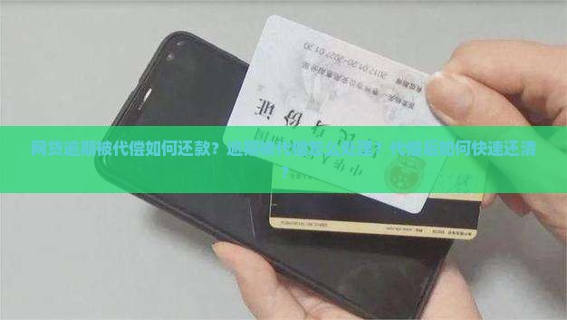 网贷逾期被代偿如何还款