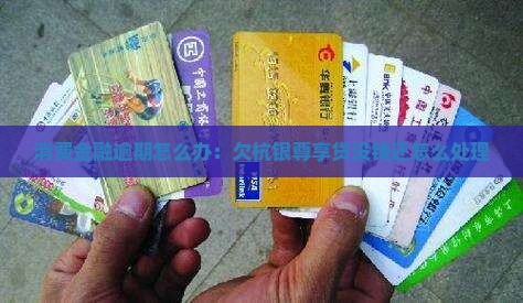 欠杭银消费金融尊享贷没钱还怎么办