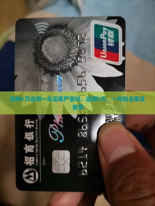 微博借钱5万逾期一年后果严重吗