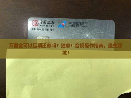 万佣金可以延期还款吗