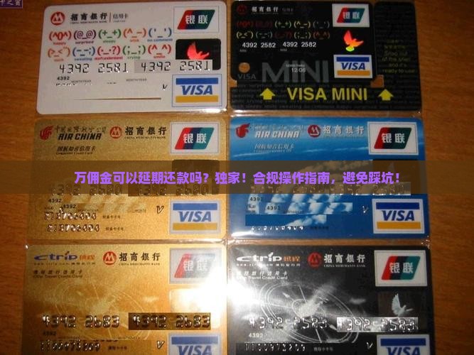 万佣金可以延期还款吗
