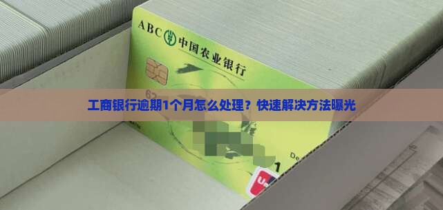工商银行逾期1个月怎么处理