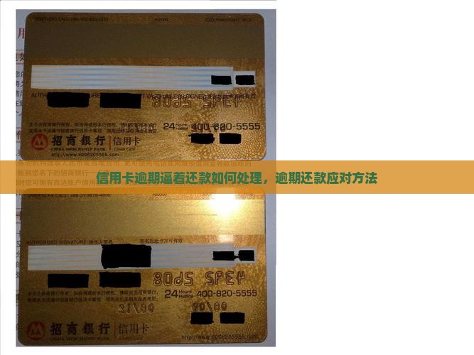 信用卡逾期逼着还款如何处理